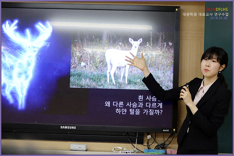 ��ǥ���� ��������